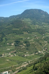 DSC06439a1